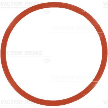 717754600 VICTOR REINZ